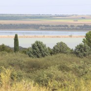 Paisajes en la cuesta