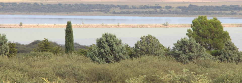 Paisajes en la cuesta