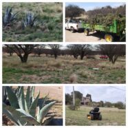 Limpieza de terrenos